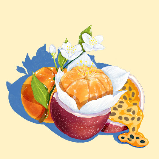 Hydrangea - Hacienda El Obraje - Gesha - Washed - Colomibia 8oz