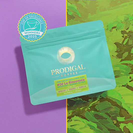 Prodigal - La Rinconada #20 - Geisha - Anaerobic Washed - Peru 150g
